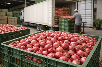 SMALL RED ONIONS – EXPORT QUALITY (Sambar / Shallots)