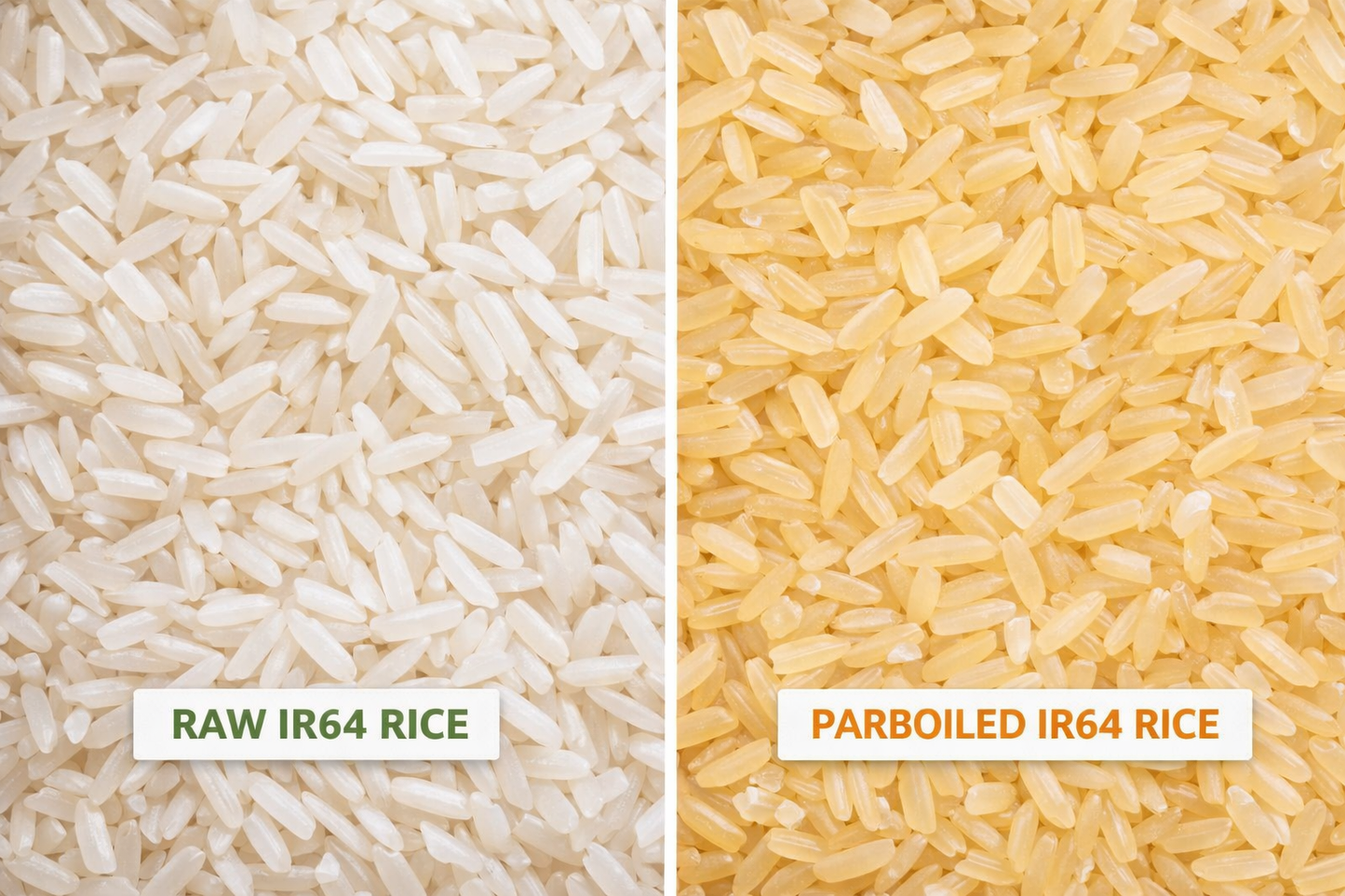 IR64 RICE (ALL BROKEN %)